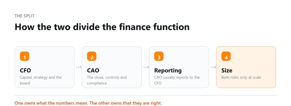 CFO against CAO: strategy, the close, reporting line and company size