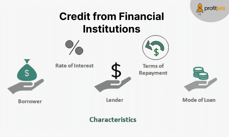 Credit from Financial Institutions