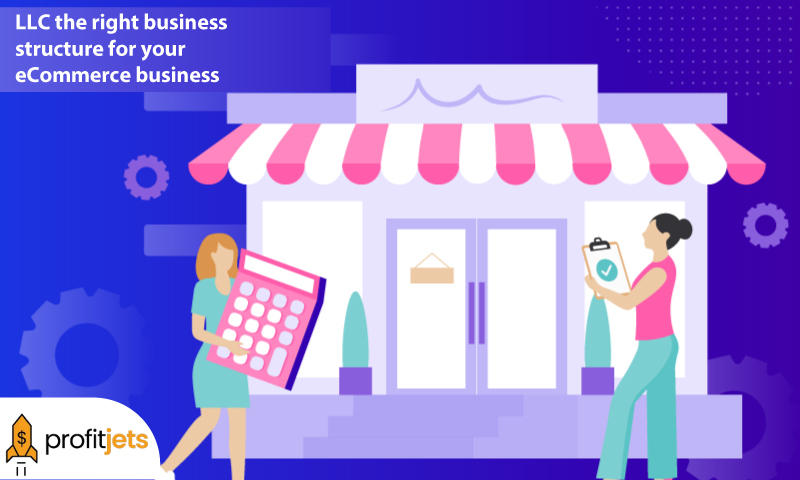 an LLC the right business structure for your eCommerce business