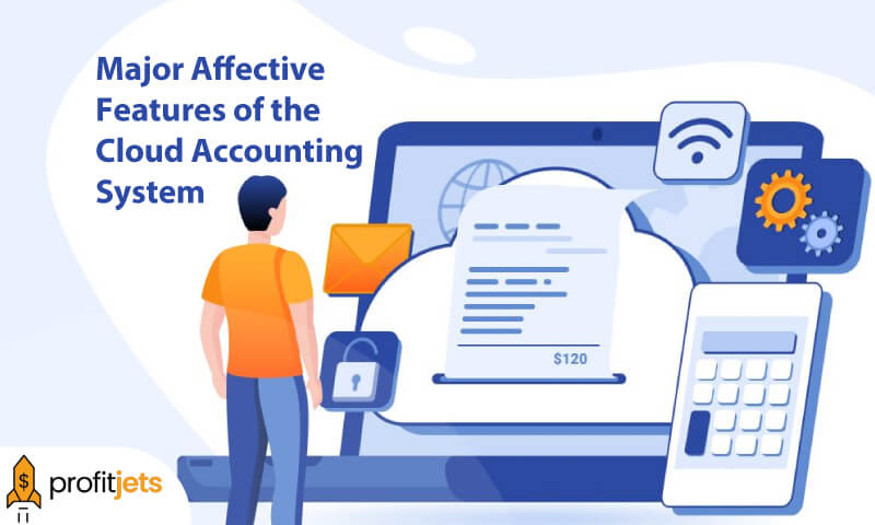 Major Affective Features of the Cloud Accounting System
