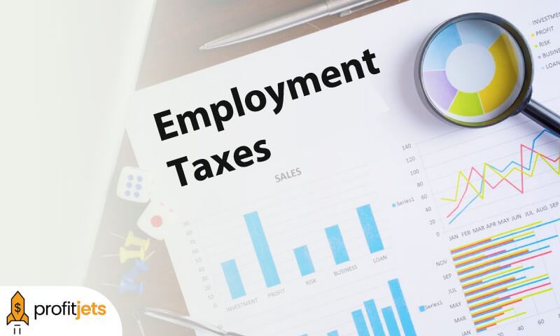 What Do You Mean By Employment Taxes