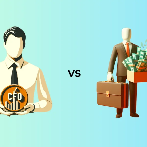CFO vs Director of Finance