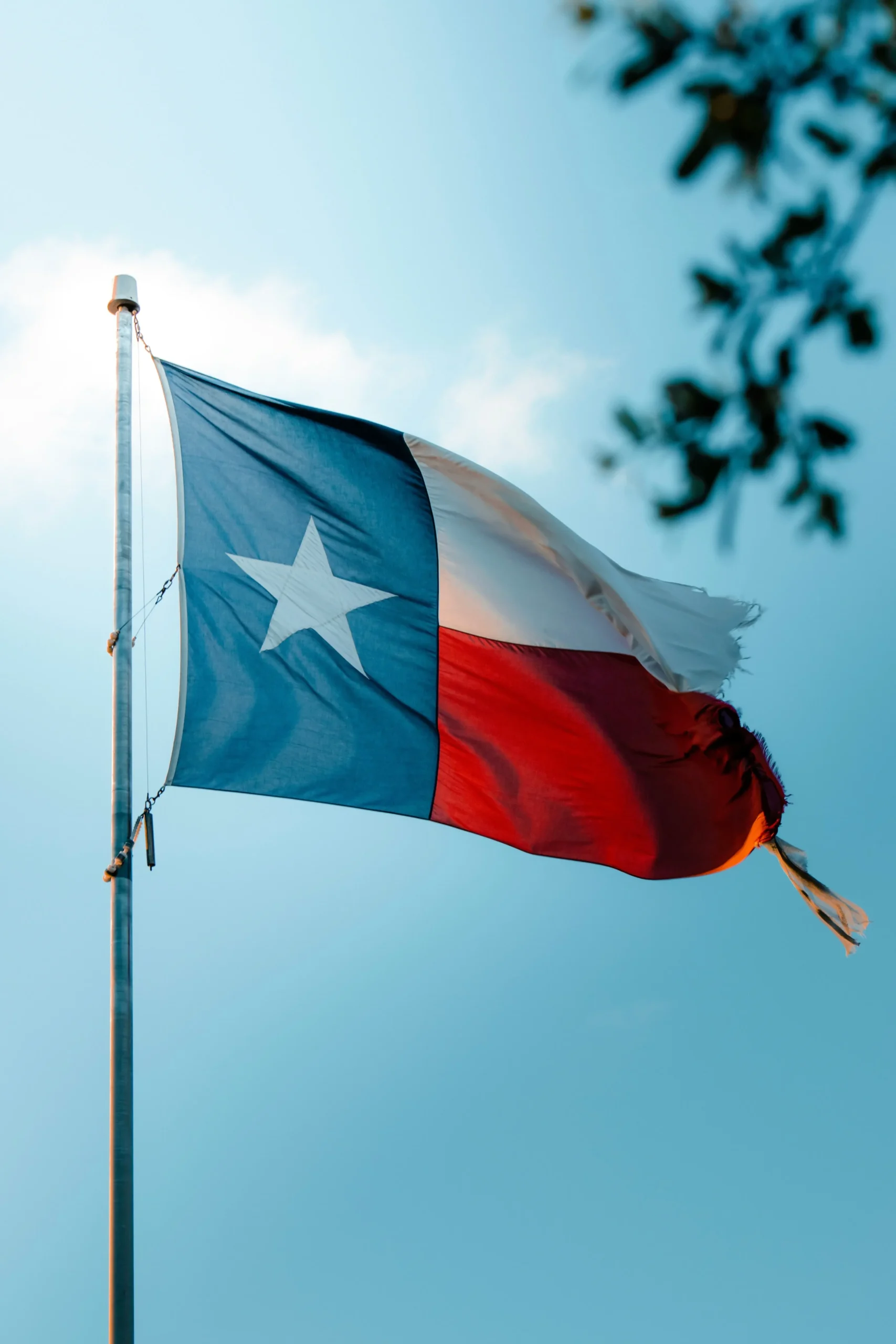 Profitjets Tax Services in Texas Profitjets Tax Services in Texas