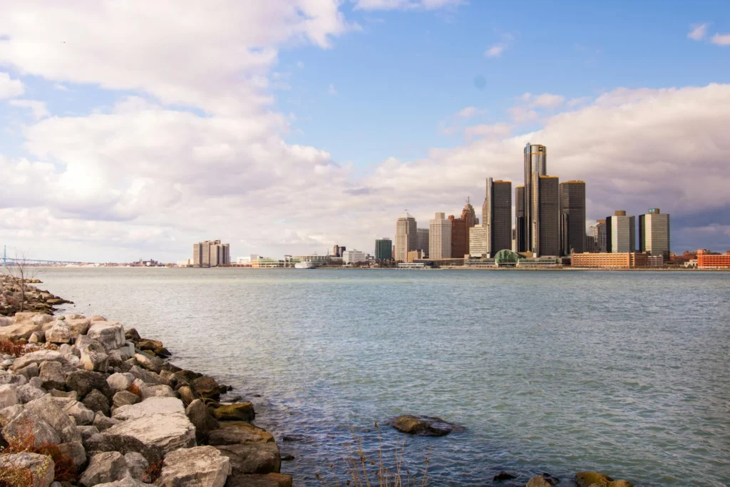 Profitjets CFO Services in Detroit