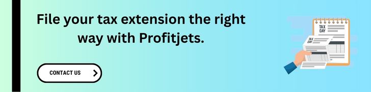 Business Tax Extension