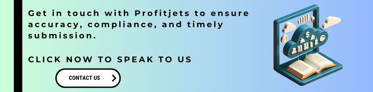 Get in touch with Profitjets to ensure accuracy, compliance, and timely submission.