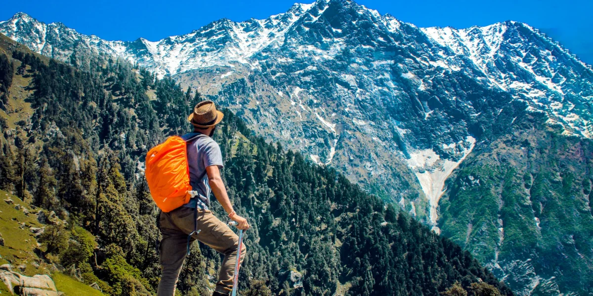 pexels-dreamlensproduction-2450296